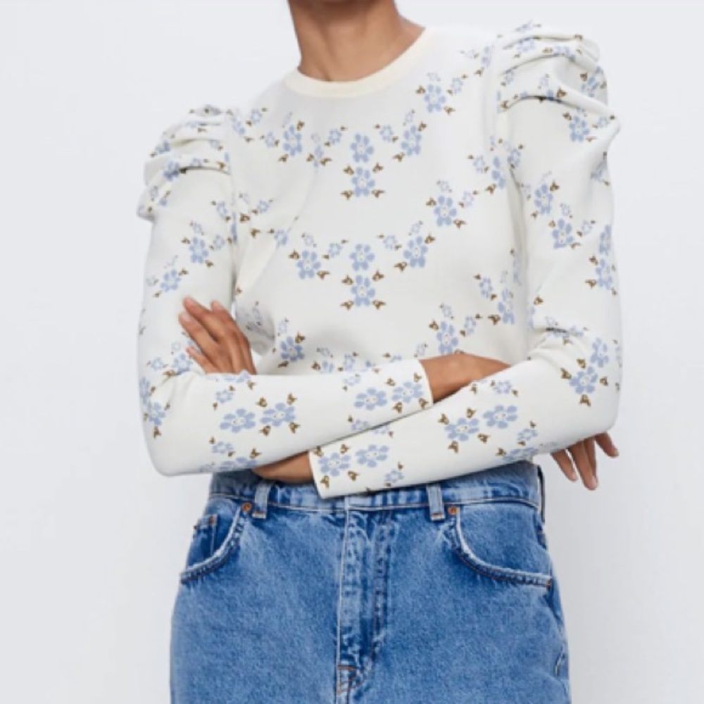 Zara Long Sleeve Puffed Sleeve
